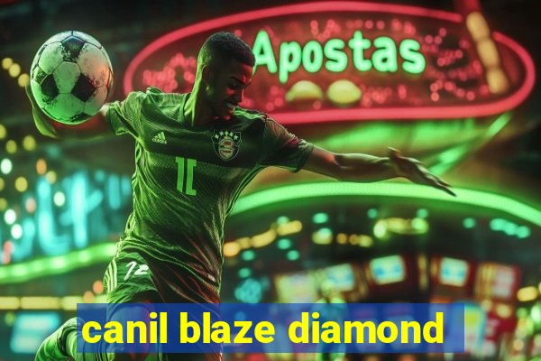 canil blaze diamond